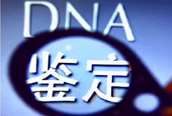 长沙正规的DNA鉴定机构，长沙正规亲子鉴定收费标准