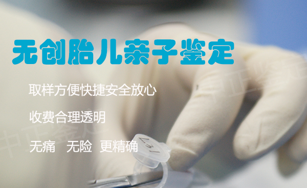 刚怀孕如何鉴别宝宝是谁的[长沙],孕期亲子鉴定准确吗